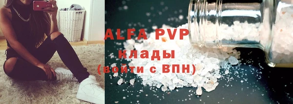 гидра Заводоуковск