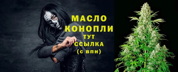 гидра Заводоуковск